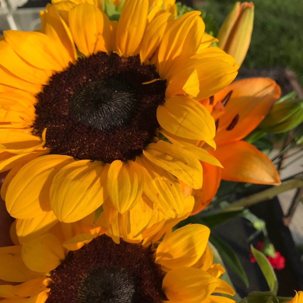 Meet your Posher, Chardae